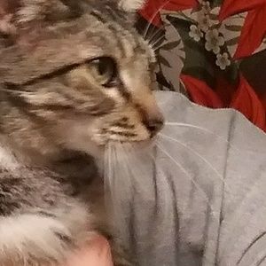 Meet your Posher, Erik